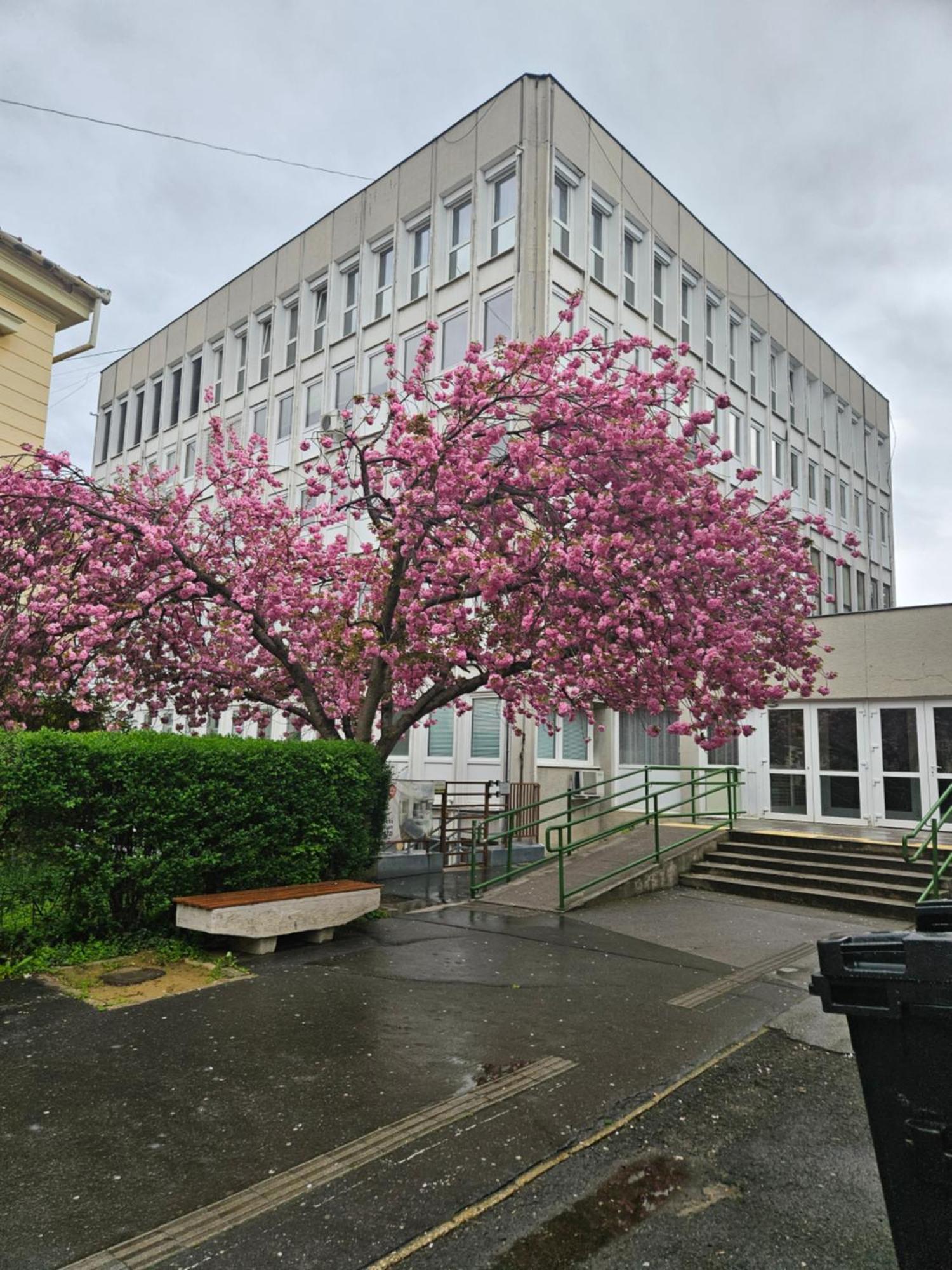 Hellowine Apartman II Eger Kültér fotó